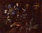 SCHRIECK, Otto Marseus van, Blaue Winde Kroe und Insekten